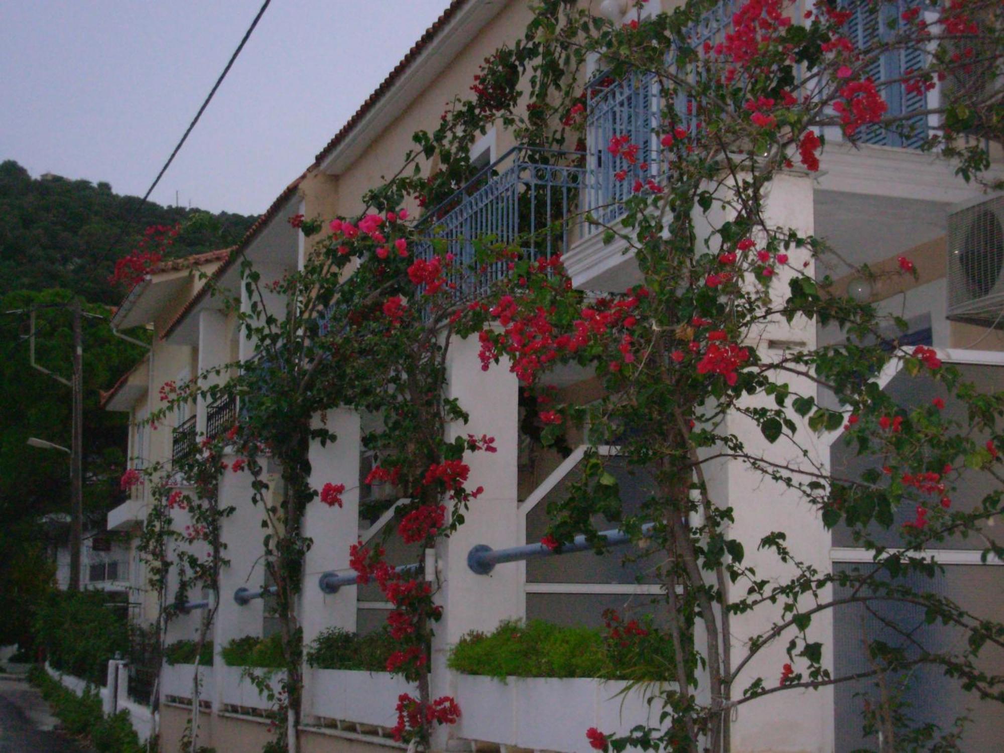 Louisa Studios Poros  Ngoại thất bức ảnh